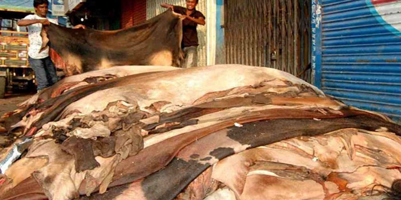 সরকারি দামে চামড়া কিনতে নারাজ আড়তদাররা