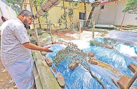 পাশাপাশি তিন শিশুর কবর, কাঁদাচ্ছে সবাইকে