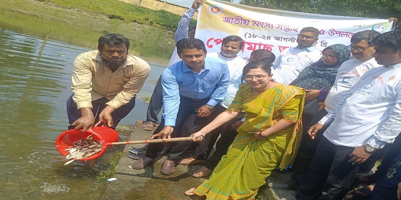 ডোমারে জাতীয় মৎস্য সপ্তাহ পালিত
